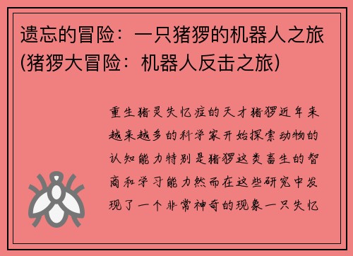 遗忘的冒险：一只猪猡的机器人之旅(猪猡大冒险：机器人反击之旅)